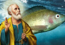 Tilapia: St. Peter’s Fish in Biblical History and Modern Times